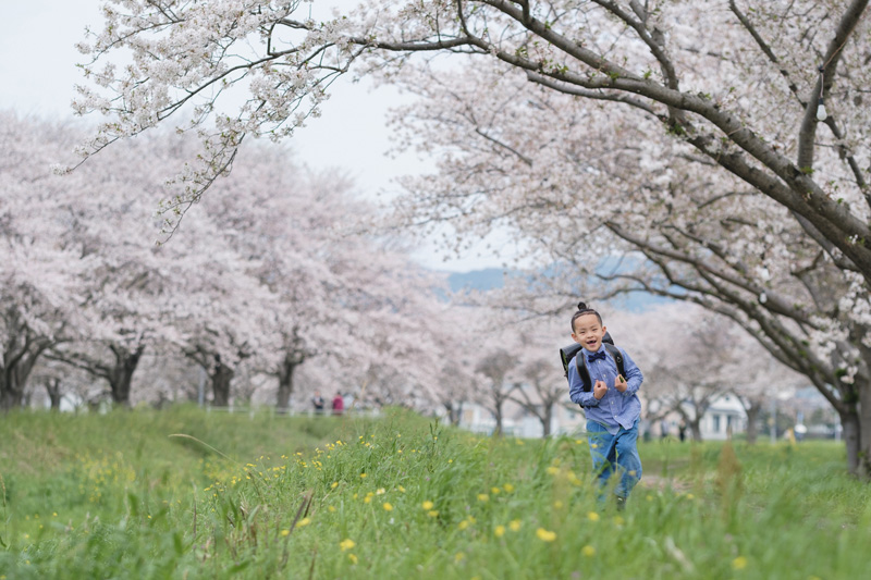 入学・卒業の記念写真は一生の宝物！特別な一枚を残しませんか？