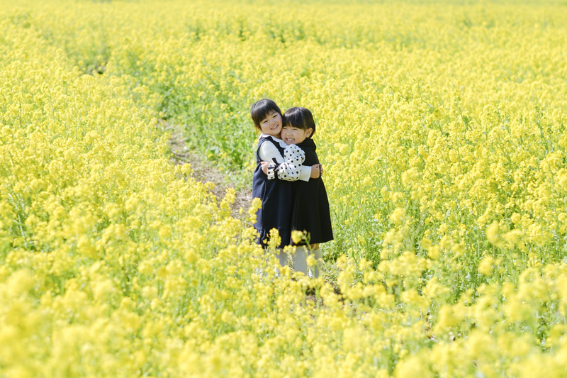 菜の花撮影会のご案内｜福岡・古賀市の春限定ロケーション撮影