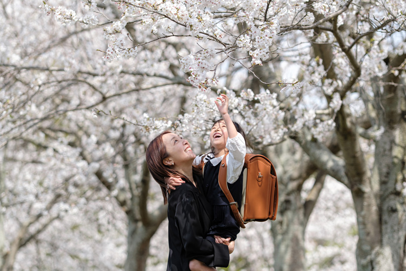 2026年桜ロケーション撮影会のお知らせ